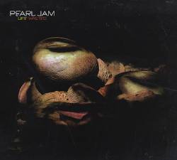 Pearl Jam : Life Wasted (2005 US 2-track promotional only CD single)